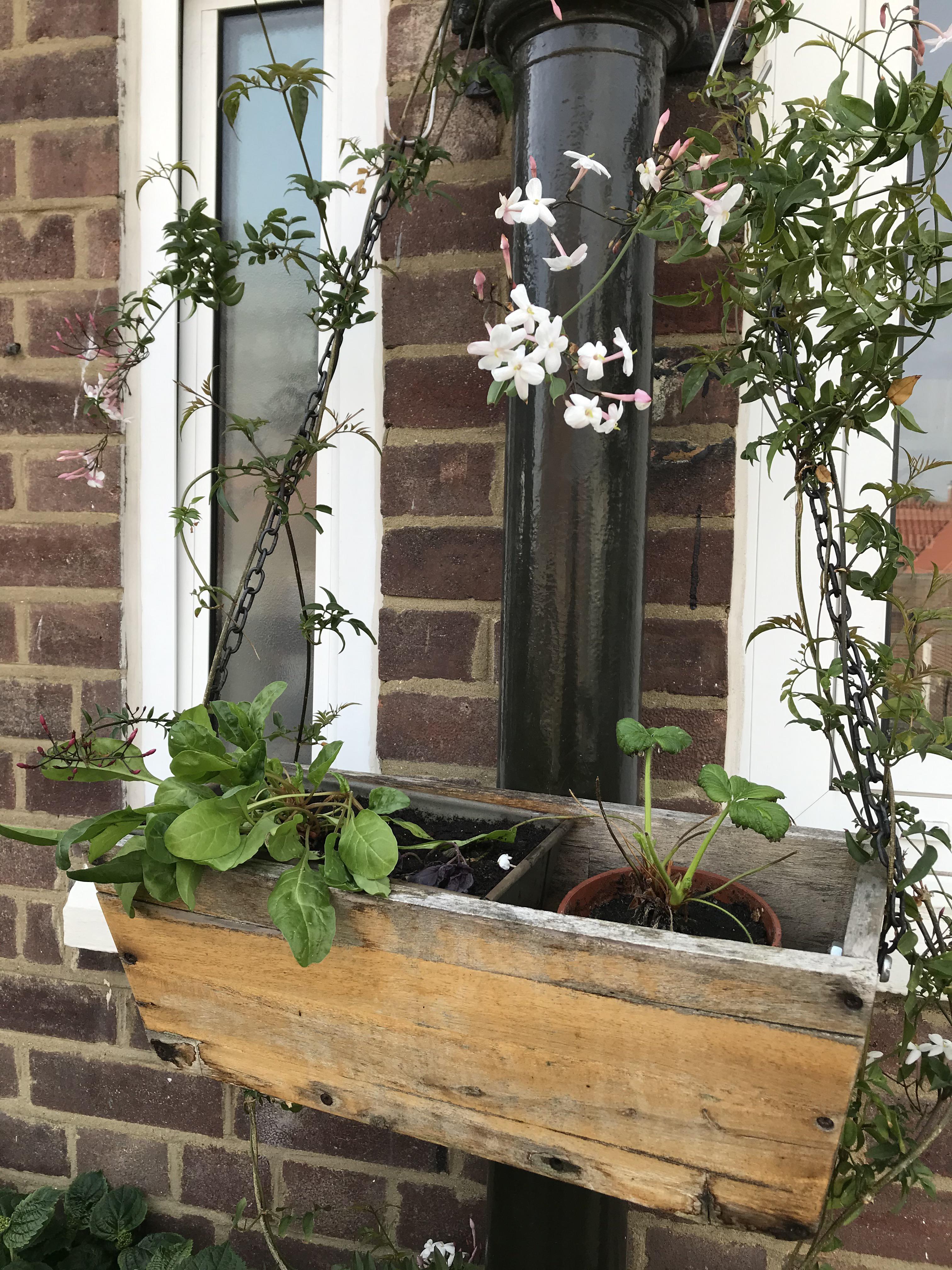 What To Line Wooden Planter Boxes With?
